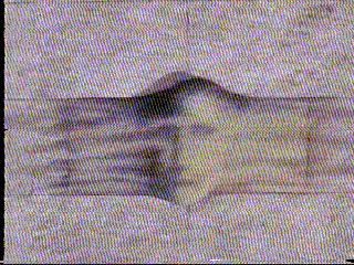 Ilustración relacionada con Bienvenidx a mi Blog.